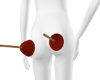 Plunger Butt