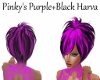 Pinkys Purple+BlackHarva