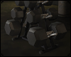Gym dumbbells