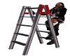 The Reign Ladder
