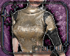Aquila Armor Top