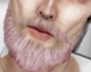 Beard