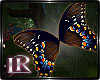 iR" Butterflies v1