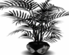 (VO)Plant