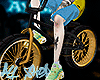 Ay. BMX Gold F