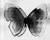 butterfly art poster