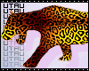 ● The Leopard. Rawr.