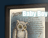 Baby boy Frames (owl)