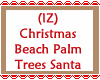 XMas Beach Palm Tree