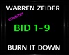 Warren Zeiders ~ Burn It