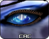 [CAC] Glasce.M.Eyes