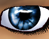 Saturn - blue (m)
