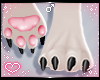 ˏˋ✧ Furry Paws