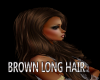 BROWN LONG HAIR