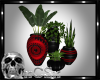 CS Black & Red Plants