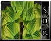 #SDK# Derivable Palm