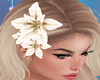 Flor De  Cabelo Branca
