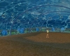 Ocean Floor Aquarium