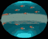 Ocean Dome OC0-10