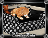 (E)Blackx: Kitty Bed