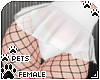 [Pets] Skirt | White