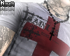 ╋━ SAINT