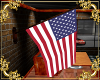 ~LS~ USA Flag