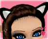 Cat in the hat ears