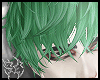 5C ROKU [GREEN]