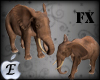 EDJ Elephant Enhancer