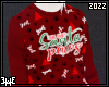 Santa paws sweater