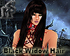 Black Widow Hair Siobhat