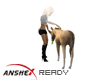 [AXR] NEWBORN HORSE