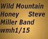 Wild Mountain honey