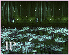 Dark Forest PhotoRoom