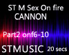 ST M On Fire-Cannon P2