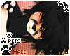 [Pets] Zorro | Avrae