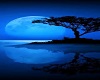 Blue Moon 3