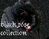 black rose side table