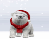 Polar Bear Pet M