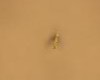 GOLD BELLY RING