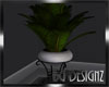 [BGD]Potted Plant 2