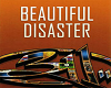 311  Beautiful Disaster