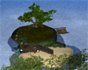 Castaway island