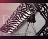 Set Zebra 