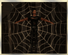 SF Spider Web w Pose