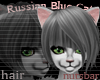 (n) russian blue hair 3