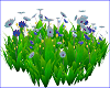 Blue Flowers Green Grass