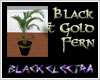 [EL] Black + Gold Fern