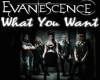 Evanescence WhatYouWant